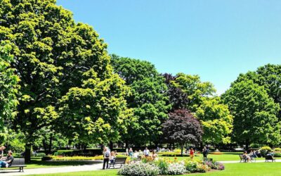 Grüne Oasen in der Stadt: Die schönsten Parks in Düsseldorf